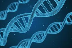 Genomica e dolore: che cosa ci può rivelare lo studio del DNA?